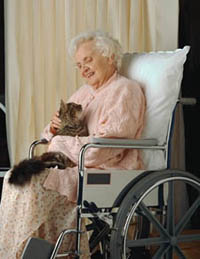 Picture of an older woman, in a wheelchair, with a kitten