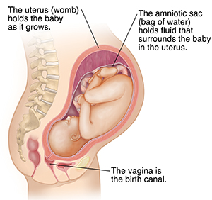 Side view of female body showing pregnancy at 9 months.