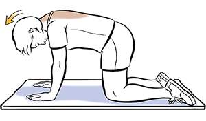 Woman on all fours doing neck lift exercise.