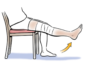 Lower body of seated person showing long-arc knee extension.